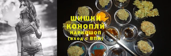 бошки Медногорск