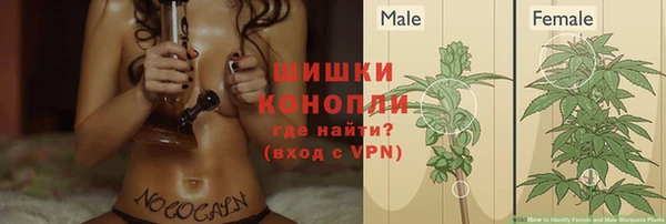 дживик Мегион