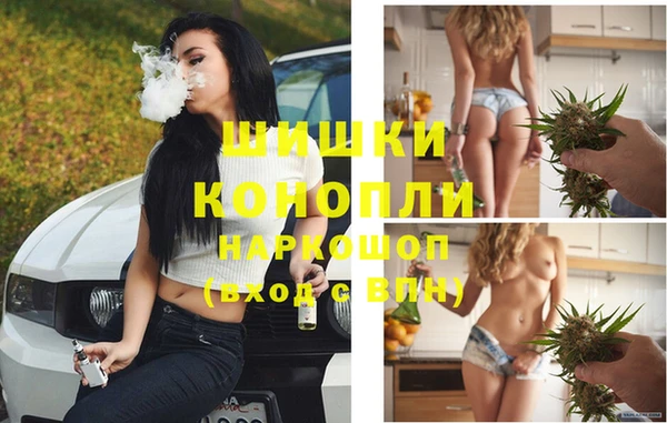 дживик Мегион