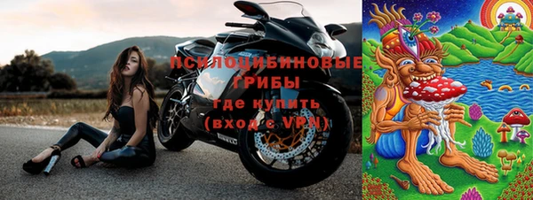 бошки Медногорск