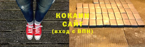дживик Мегион