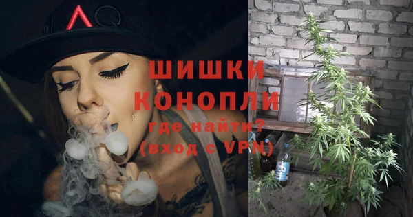 дживик Мегион