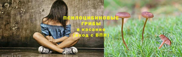 мдма Медвежьегорск