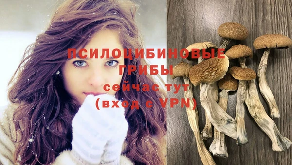 бошки Медногорск