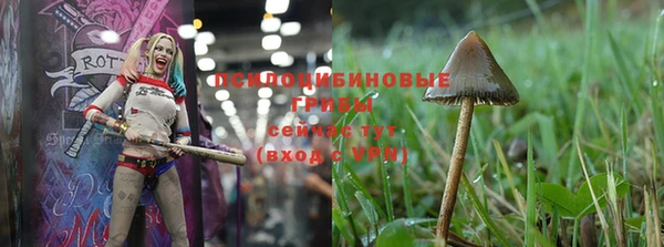 дживик Мегион