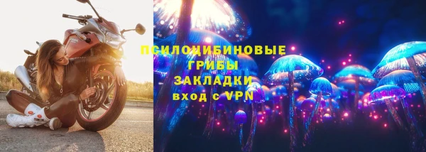 бошки Медногорск