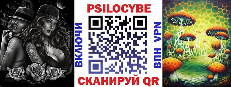 МЕГА онион  Саров  Псилоцибиновые грибы Psilocybine cubensis 